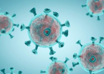 PIAUÍ: 4 óbitos nas cidades de Aroazes (73 anos), Pio IX (81 anos) e Teresina (67 e 70 anos) foram registrados