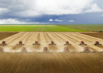 BRASIL: Conab avança mais uma etapa no mapeamento da soja em lavouras do Nordeste