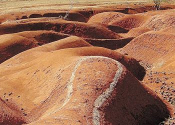 Política Estadual de Combate à Desertificação entra em pauta para votação na Assembleia Legislativa