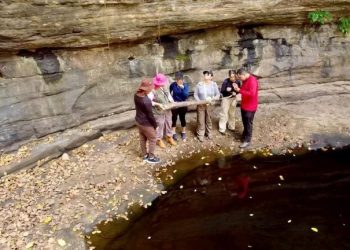 Alunos de Biologia da Uespi realizam pesquisa sobre grupo específico de fungos em Campo Maior