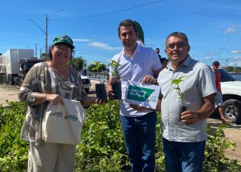 Semarh levará serviços ambientais e distribuição de 13 mil mudas ao Diálogos pelo Piauí em São Raimundo Nonato