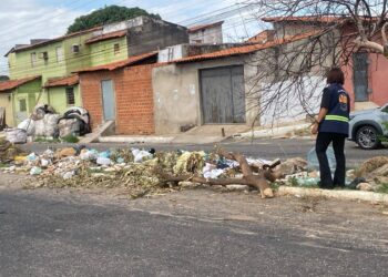 Fiscalização intensifica ações e revela falta de cooperação no combate ao lixo em Teresina