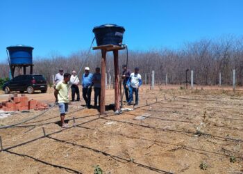 Programa já instalou mais de 1.300 kits de irrigação e garantiu acompanhamento permanente a pequenos produtores