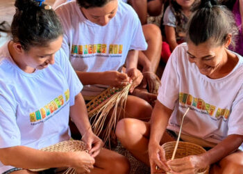 Seduc abre 276 vagas gratuitas em cursos do Programa Mulheres Mil; veja como se inscrever