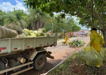6ª edição do “SDU nos Bairros” chega ao Torquato Neto com grande mutirão de limpeza e manutenção