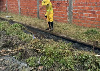 SDU Sudeste recolhe 656 toneladas de resíduos durante mutirão em Teresina
